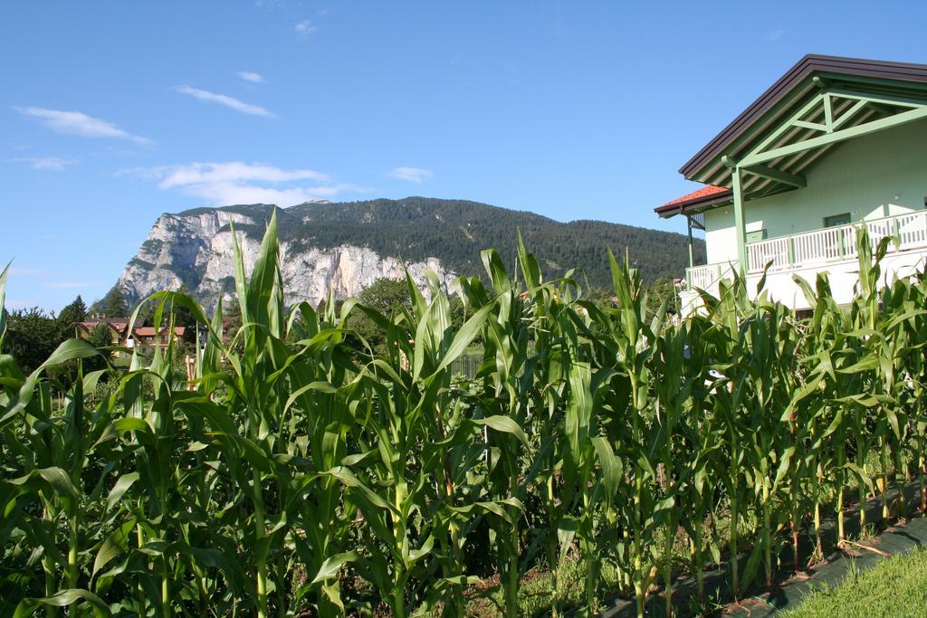 Agriturismo Florandonole ไฟเดลลาปากาเนลลา ภายนอก รูปภาพ